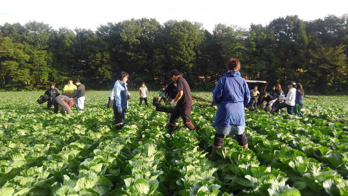 Nhật Bản - Nông nghiệp trồng trọt – Visa kỹ năng đặc định số 1 - Xuất ...